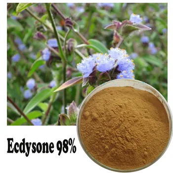 

100g Promotes collagen protein synthesis, melanin repair, dew extract Beta-ecdysone 98%