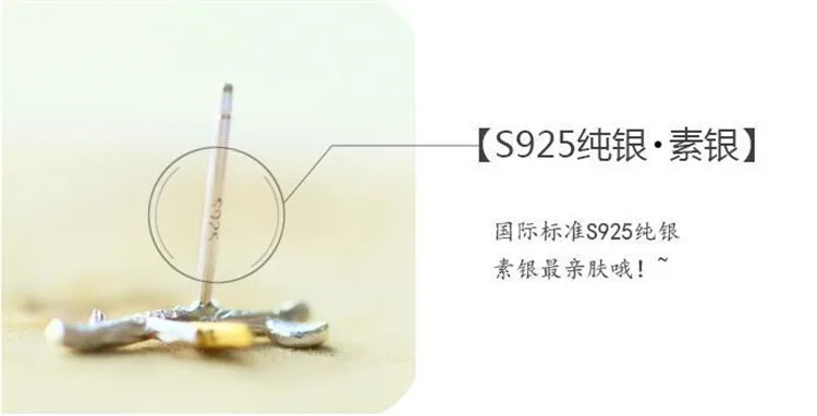 9590776308_1966409281