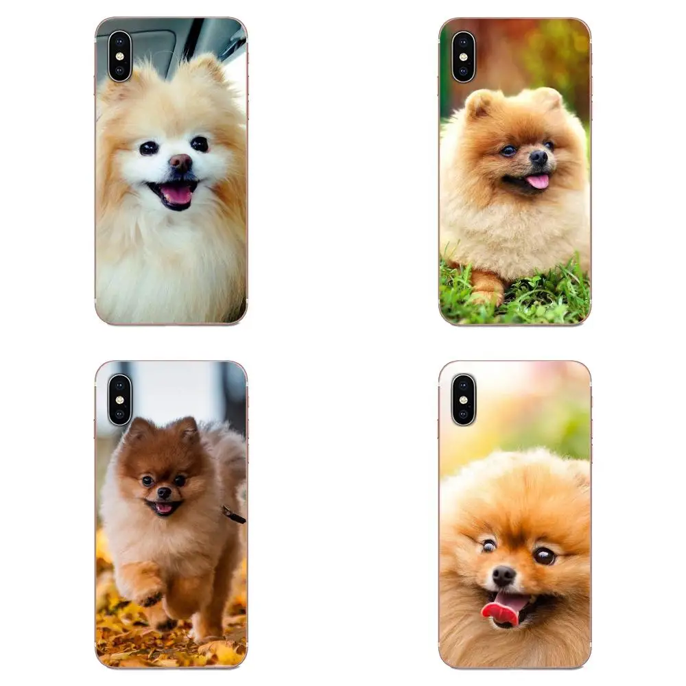 Pomeranian Dog Dogs TPU хит продаж для Galaxy Note 10 A10E A10S A20S A30S A40S A50S A6S A70S A730 A8S M10S M30S Lite Plus |