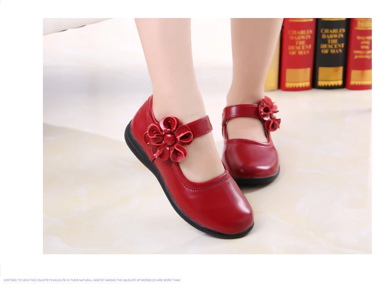 TB290Vzfb0kpuFjy0FjXXcBbVXa_!!2970964779