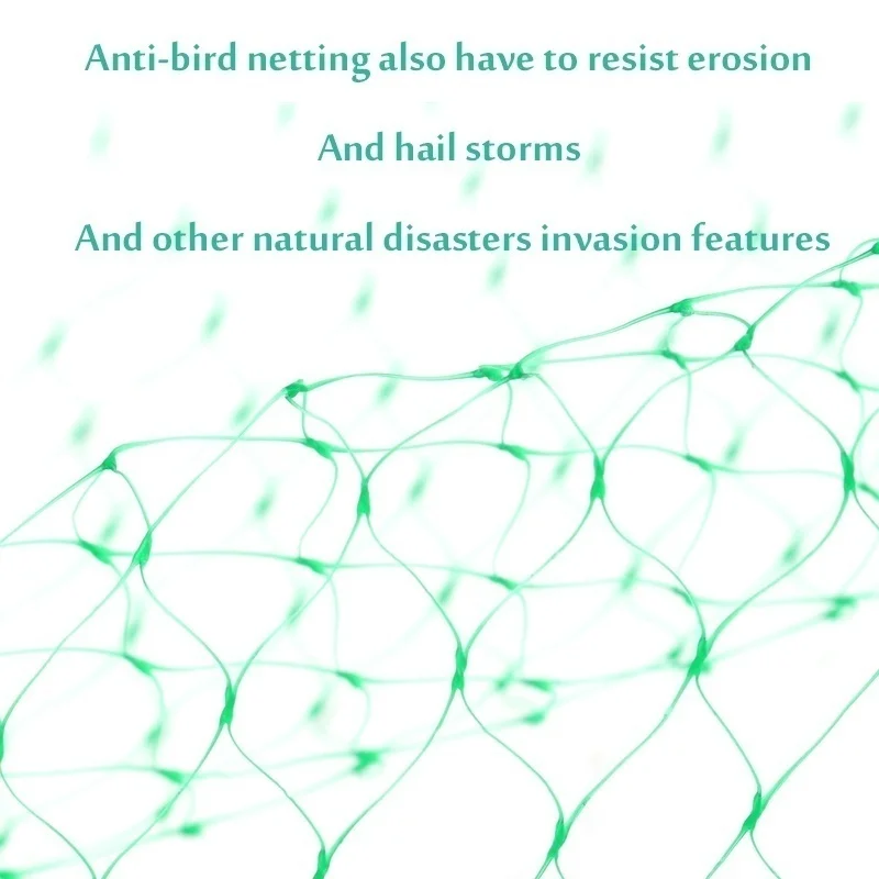 Anti Bird Protect Tree Net, Fruit Crop