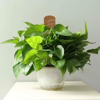 

30/45CM Coconut Totem Pole Extendable Moss Stick Coir Totem Pole for Stand Plant Extension Climbing Indoor Plant JS22