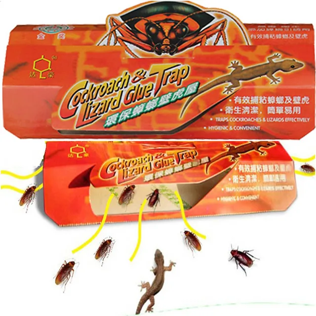 10Db Hajtogatás Cacture Cótányok Gecko House Erős Fizikai Környezetvédelem Ártalmatlan Fogási Tárgy Rovar Ragasztó Tábla