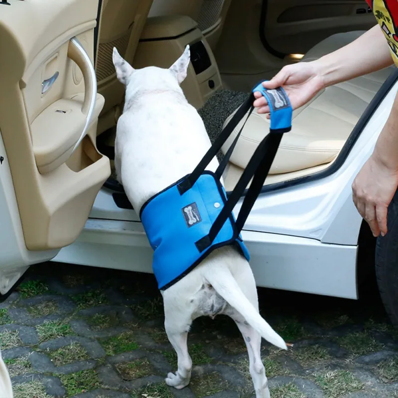 Portable Dog Sling Harness For Back Leg Hip Support Harness to Help