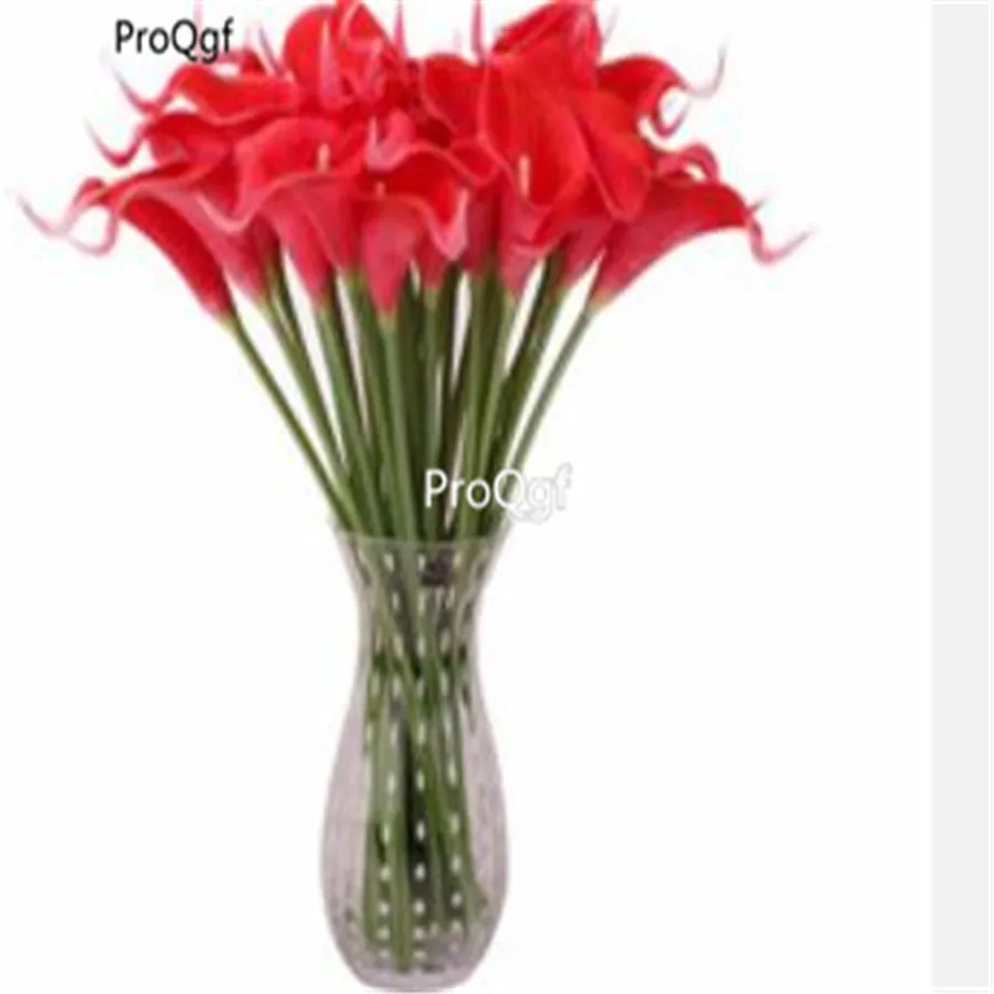 

Ngryise 3Pcs A Set 10-15cm Cluster Big Zantedeschia aethiopica calla lily Bulb