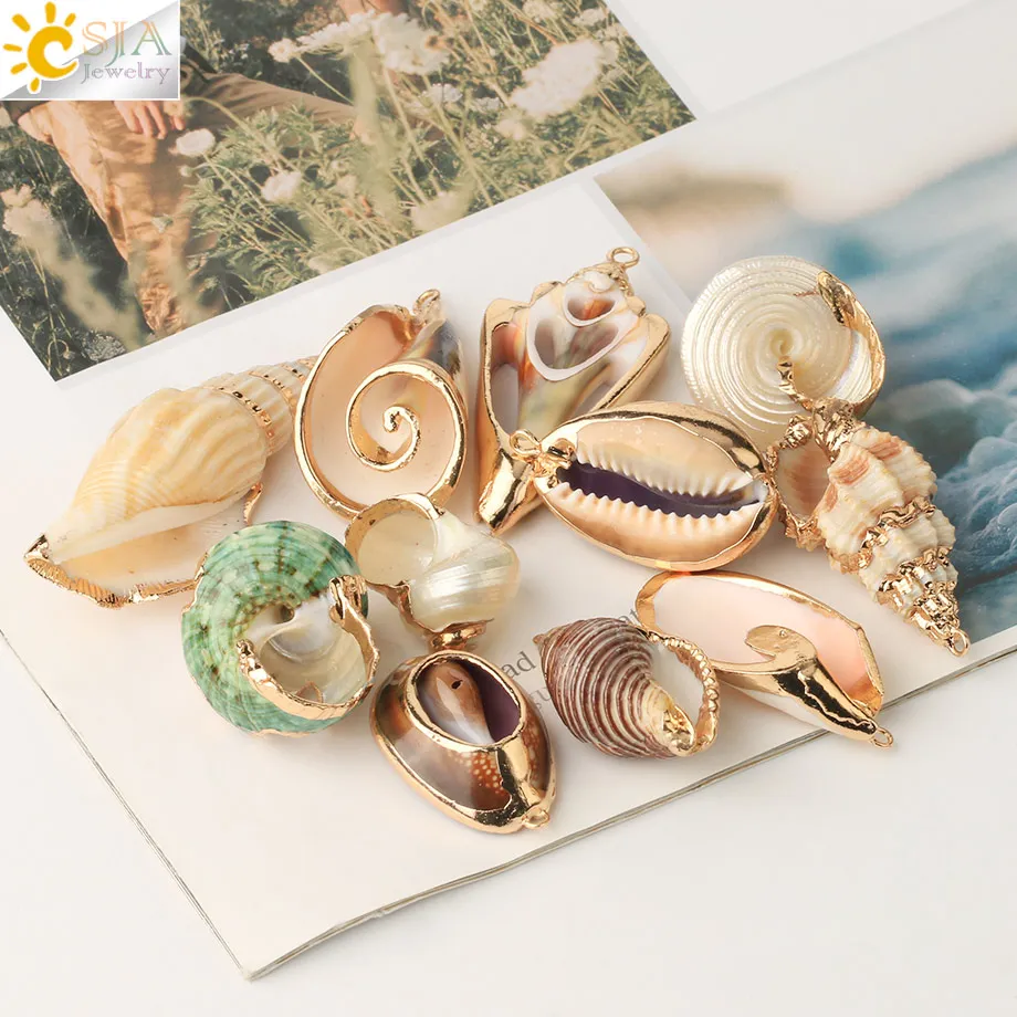 Cowrie Shells-Crafting Shells-Natural Shells-Jewerly Supplies-Shells For  Crafting-Jewerly Beads-Sea Shells Bulk