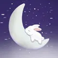 Lunar Rabbit Store