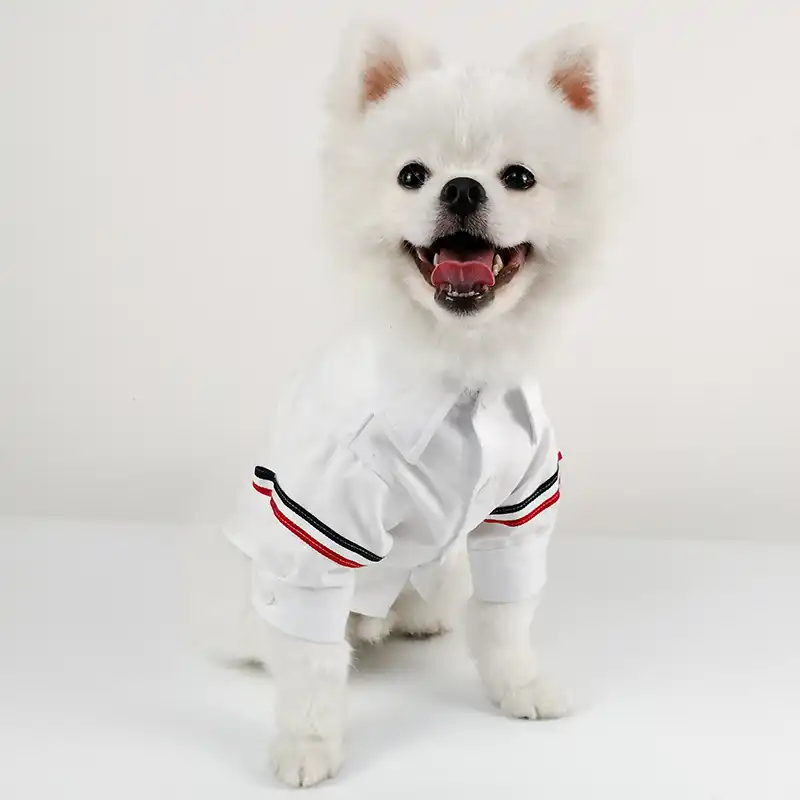 Mode Hond Zwart Wit Shirt Zomer Kleding Voor Kleine Medium Puppy Honden Kleding Kat Schnauzer Kostuums Franse Bulldog Honden T Shirts Aliexpress