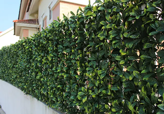 Uland 50x50cm Artificial Hedge Panels Decorative Privacy Screening