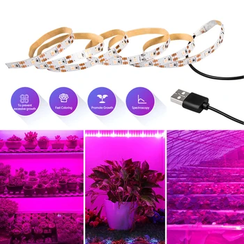 

0.5M - 3M LED Grow Light Full Spectrum 5V USB Grow Light Tape 2835SMD LED Phyto Lamp for Plants Growing Greenhouse Grow Tent