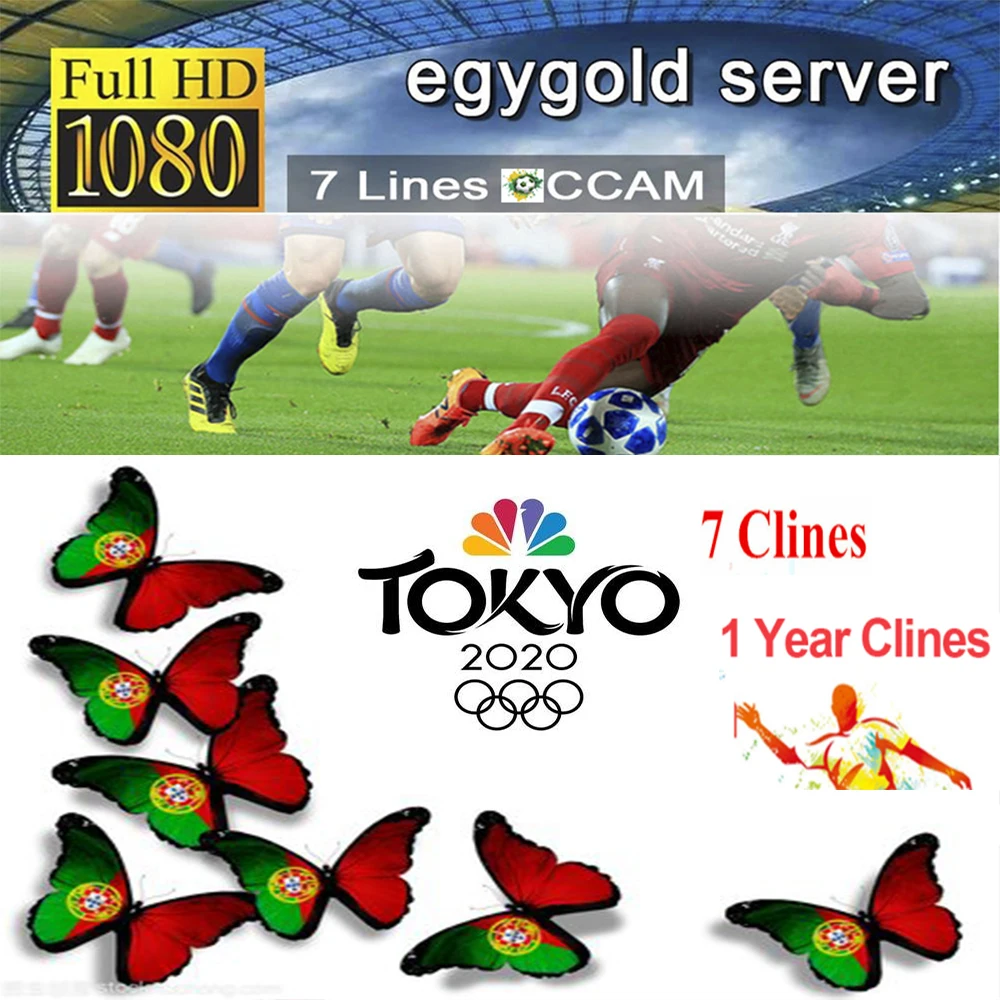 Cccam Европейский сервер для 1 года Европа Испания Португалия Франция DVB-S2 Freesat V7 V7S HD