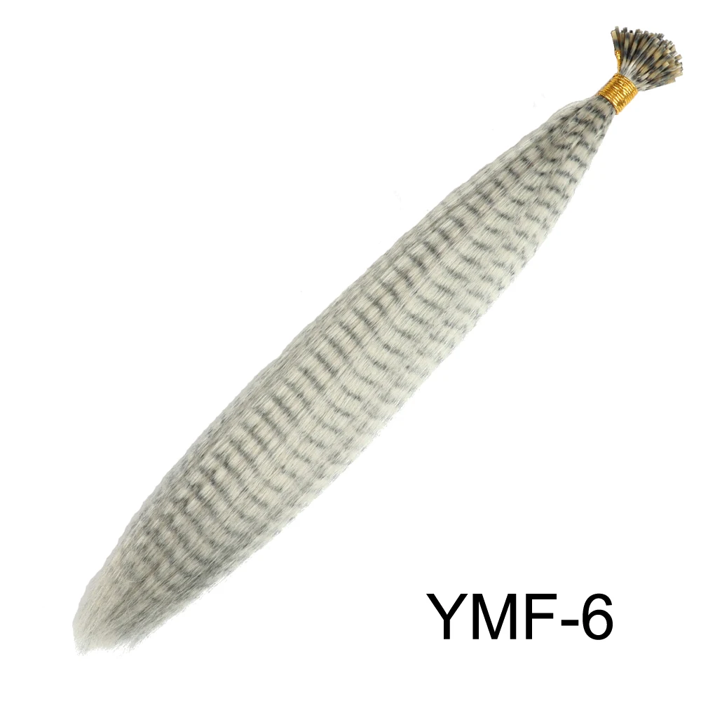 YMF-6