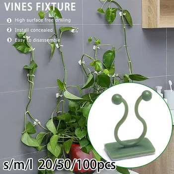 

20/50/100pcs Invisible Plant Climbing Wall Sticky Hook Vine Fixing Clamp Fixture Wall Vine Climbing Sticky Hook