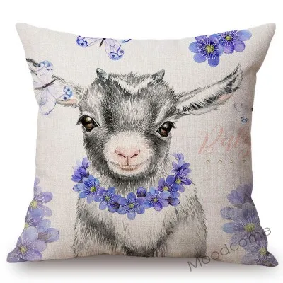 conew_n357 (8) 副本