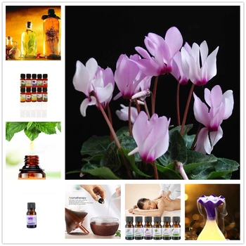 

10ML Pure Essential Oils Tea Tree Orange Peppermint Lemongrass Lavender Magnolia denudata Massage Diffuser Aromatic Aroma