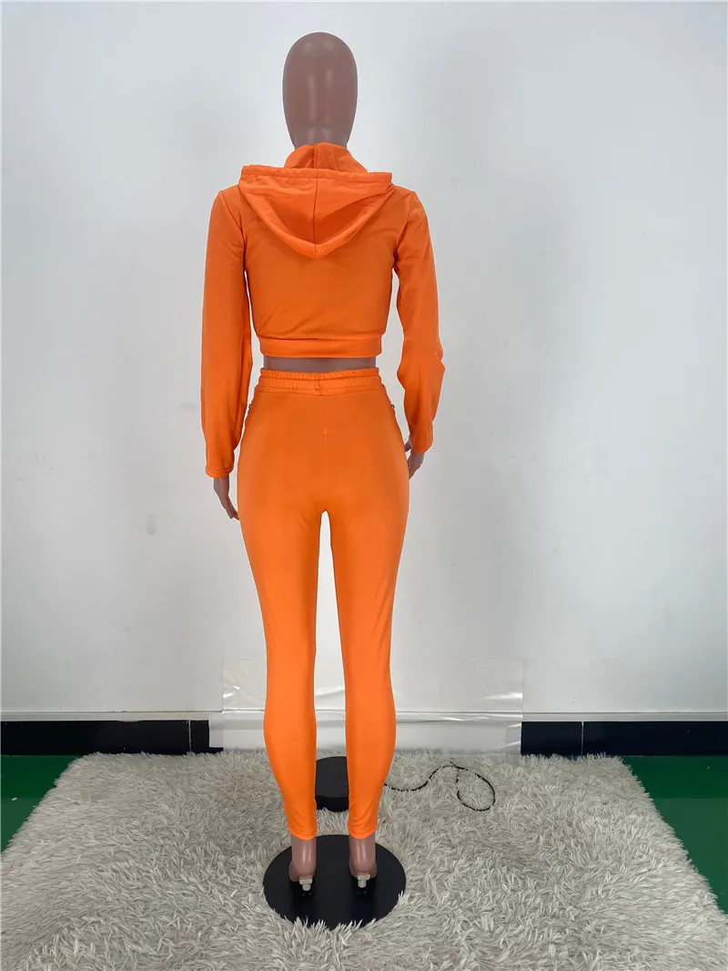 10pcs Wholesale Items In Bulk Fashion Fall Clothes for Women Long Sleeve  Hoodie Zipper Sweatsuit Sport Wear S6843_1 - AliExpress