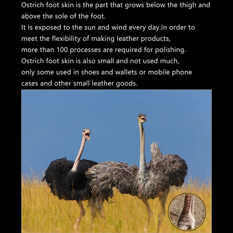 Phone Case For Huawei P20 P30 Mate 10 20 Pro lite case Y6 Y9 2018 P Smart 2019 Natural ostrich skin For Honor 7A 7X 8X 9 10 lite