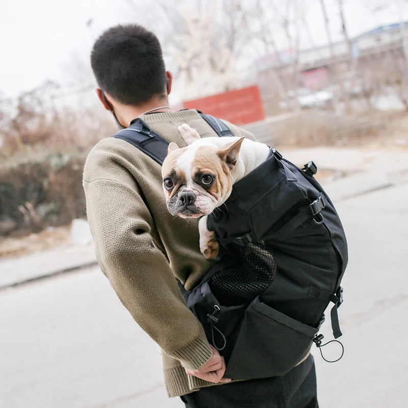 Transportador de cães