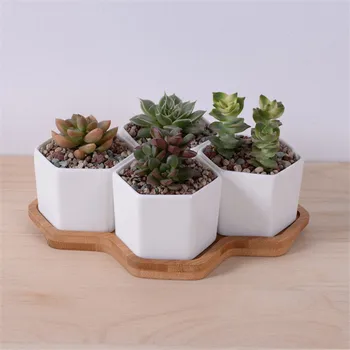 

4pcs Hexagon Flowerpots White Ceramic Succulent Plant Pot with Bamboo Stand Small Bonsai Pots Green Planters Home Decor MJ80415