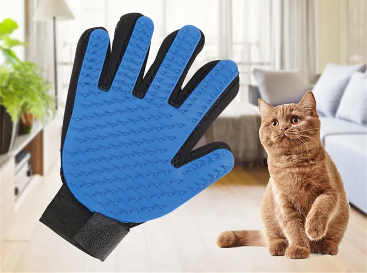 8937476759_1771561887