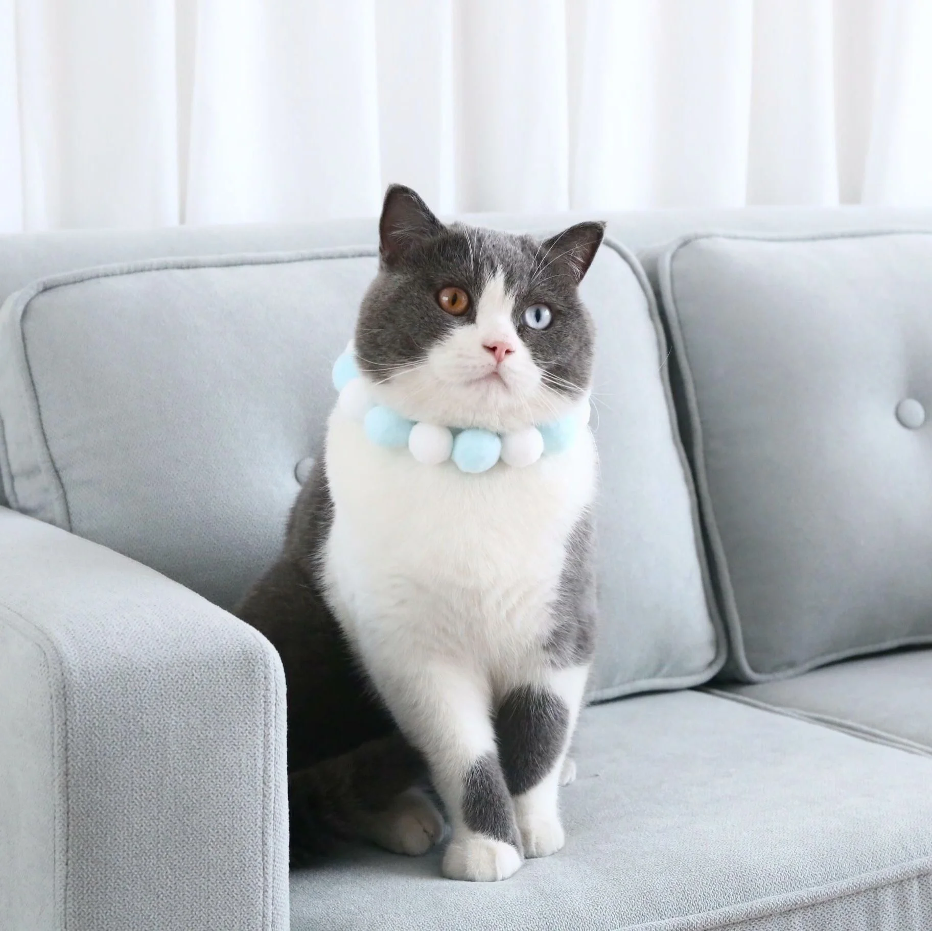 Pet Cat Color Necklace Dress Up Cute Ball Ball Self adhesive Cat Dog