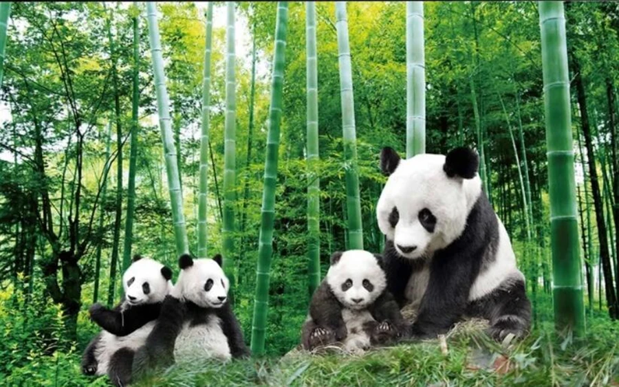 QQ截图20200216113916