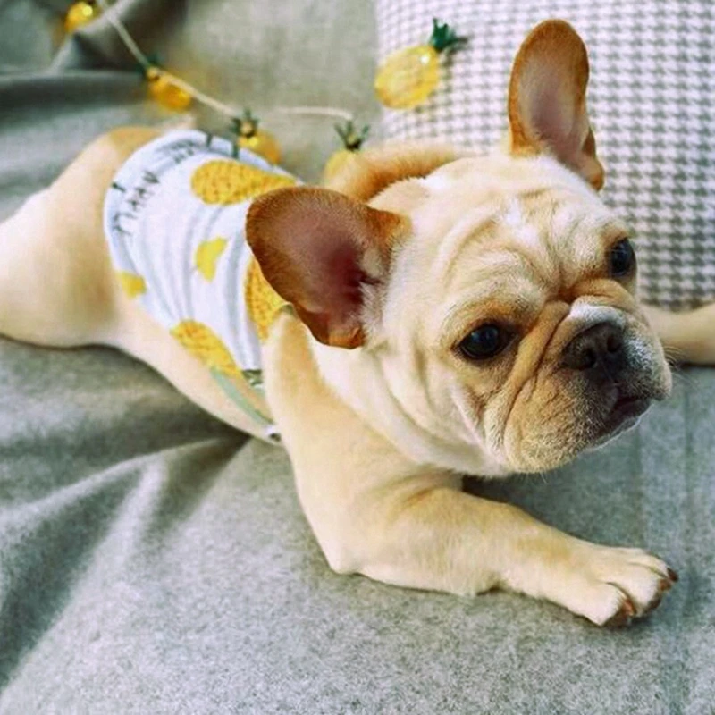 puppy vests
