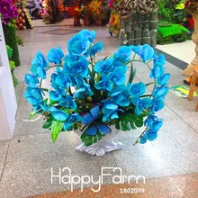 Новое поступление! редкий цветок бонсай голубая бабочка Орхидея растения красивые садовые орхидеи фаленопсис flores-200 шт/пакет,# XVKF78