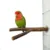 Pet Parrot Raw Wood Fork Stand Rack Toy 1шт 15 см Ветвь Окуни Для Птицы Хомяк Клетка Аксессуары Поставки