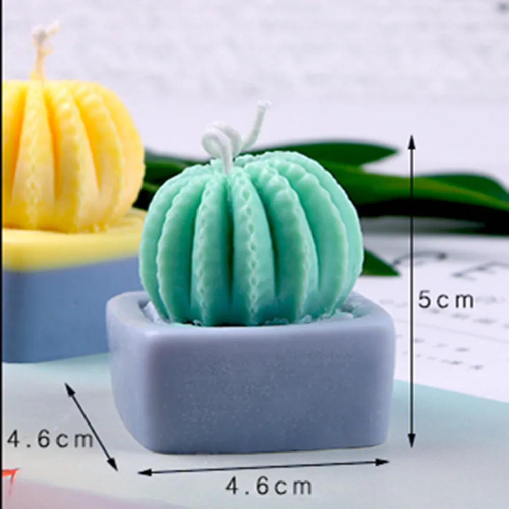 cactus mold -023