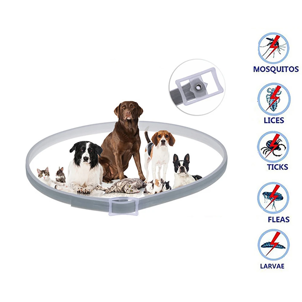 Healthy puppy flea collar Clearance