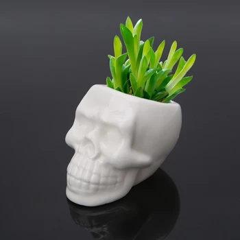 

Creative Skull Ceramic Flower Pot Green Succulent Planter Plant Container Decor