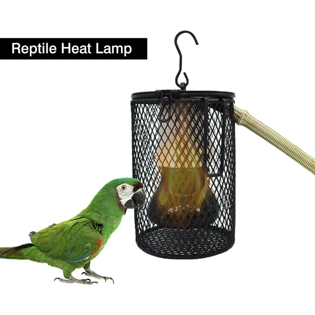 Lampe infrarouge, lampe chauffante pour oiseaux, volailles, oisillons