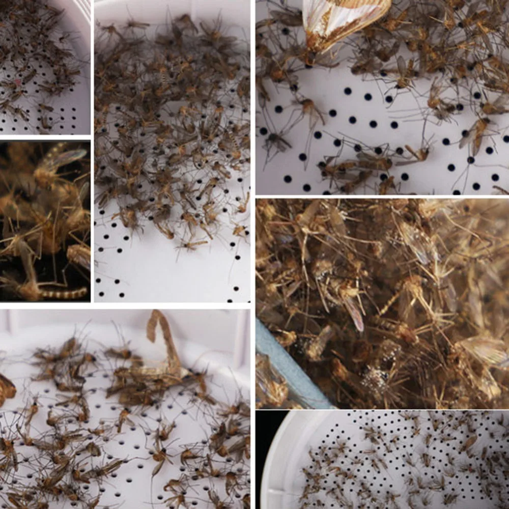 e3f2b184824a353ac651dbf999f9b8eb