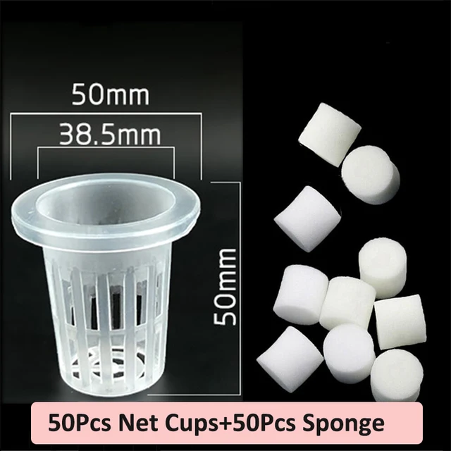 50XCup50XSponge 50mm