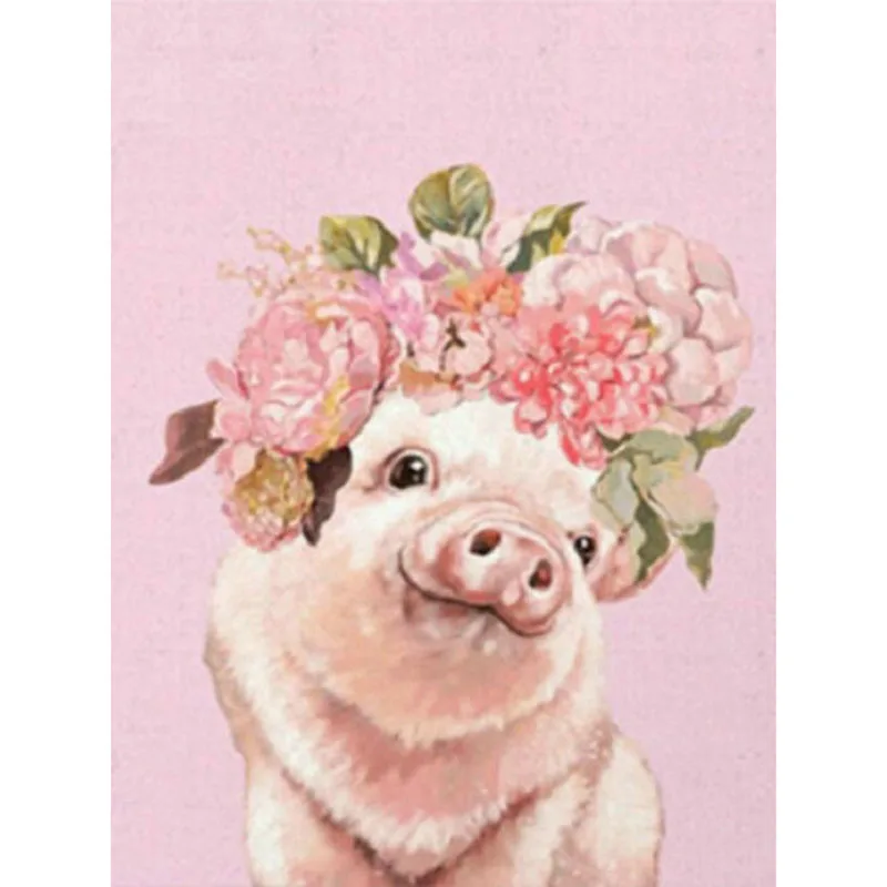 HTB1srvNah2rK1RkSnhJq6ykdpXaN