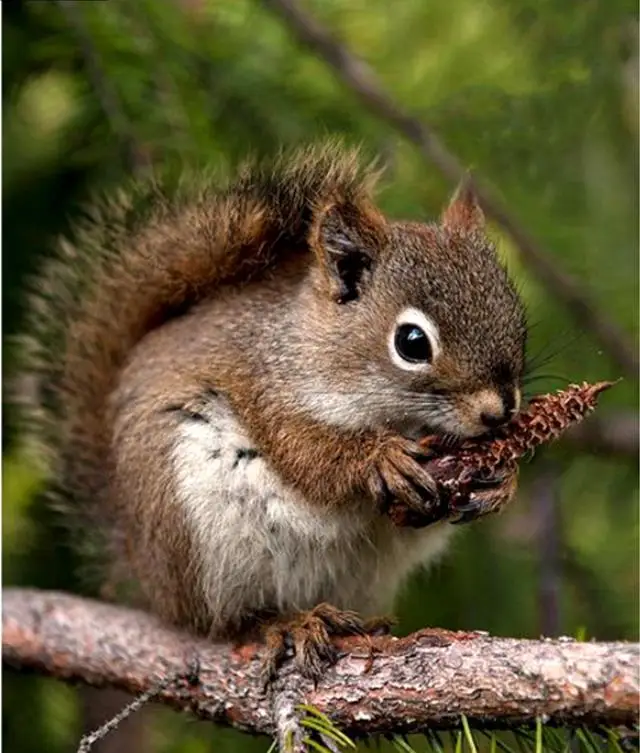 36020190312125237966