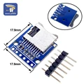 Mini SD Card