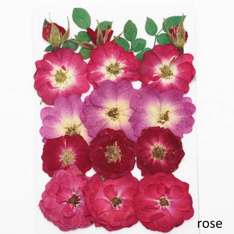 rose 15-21 шт 1 мешок маленькие сушеные цветы прессованные цветы DIY сохраненные Цветочные украшения дома мини-блоги - Цвет: rose