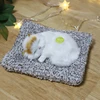 Car Ornament Simulation Sounding Sleeping Cats Plush Toy Birthday Christmas New Year Gift  Kids Boys Girls 2
