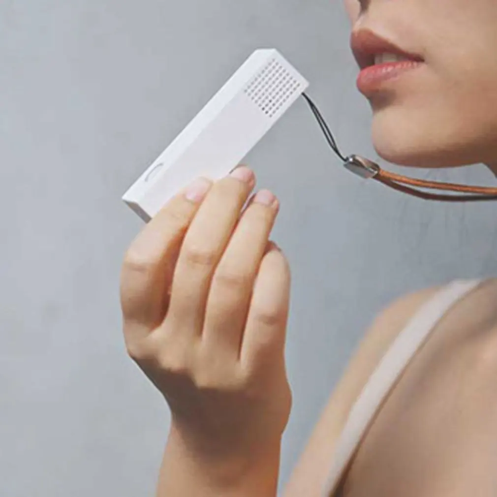 Personal Lanyard Portable Anion Air Purifier Sterilizer Formaldehyde Haze Purifier Air Cleaner Air Ionizer