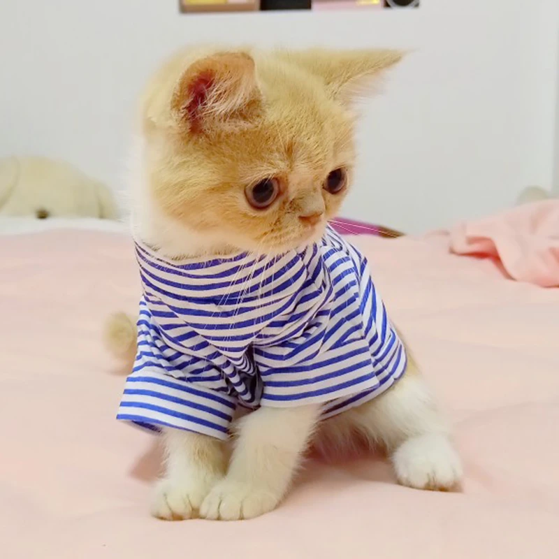 binnenkort hospita dialect Leuke Streep Huisdier Kat Vest Overhemd Zomer Katoen Kat Kleding Kleding  For A Katten Outfit For A Huisdieren Dieren Kedi Katten|Kleding voor Kat| -  AliExpress