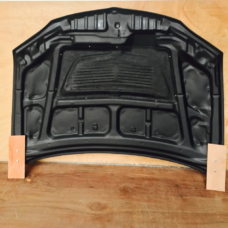 evo89oemhoodcf (6)_副本