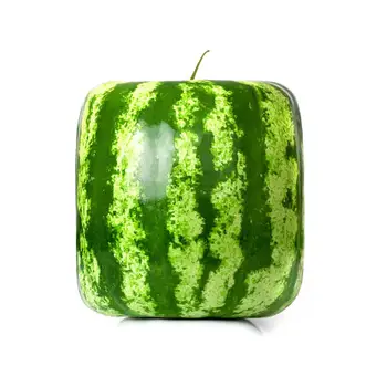 

DIY Large Size Plastic Square Heart Shape Watermelon Shaping Mold Clear Forming Growing Fruit Mould Garden Suppliers