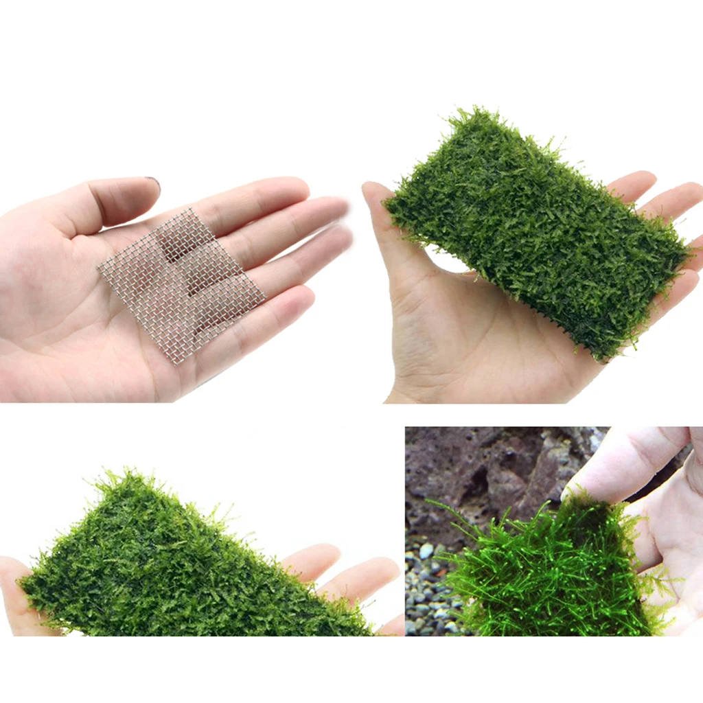 10Pcs Stainless Steel Wire Mesh Pad Aquarium Fish Tank Plants Moss Net Decor