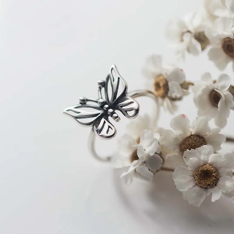 18679611862_1646359543