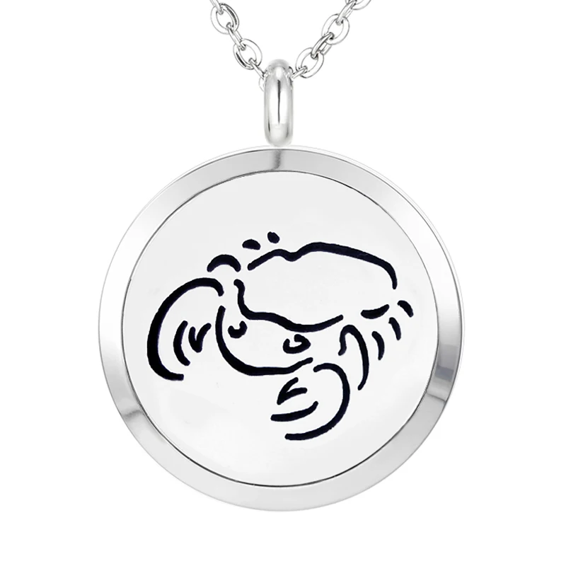 421 Essential Oil Diffuser Locket Pendant Necklace