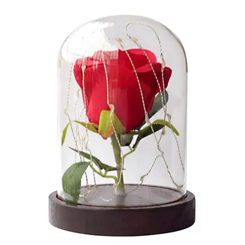 

Rose Flower in Glass Bottle Eternal Flower Glass Cover Mother's Day Gold Leaf Rose Transparent Night Light Gift