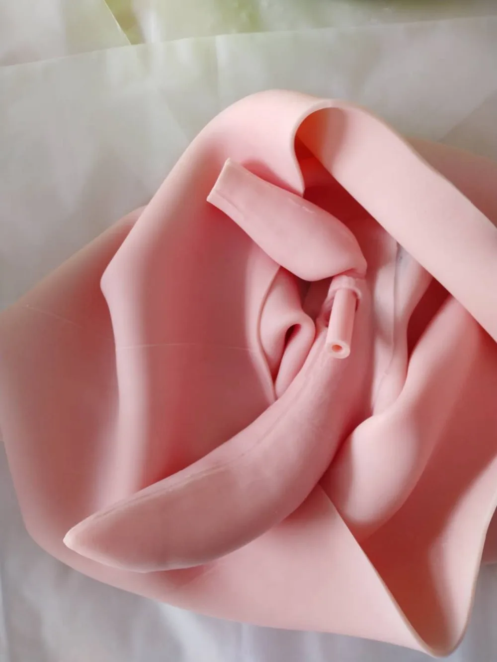 微信图片_20200423104445_副本