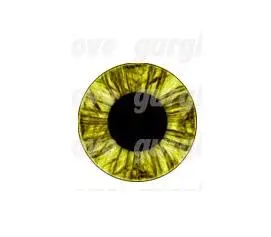 Eyes Маска для косплея guerglelove Kigurumi BJD 26 - Цвет: Eyes